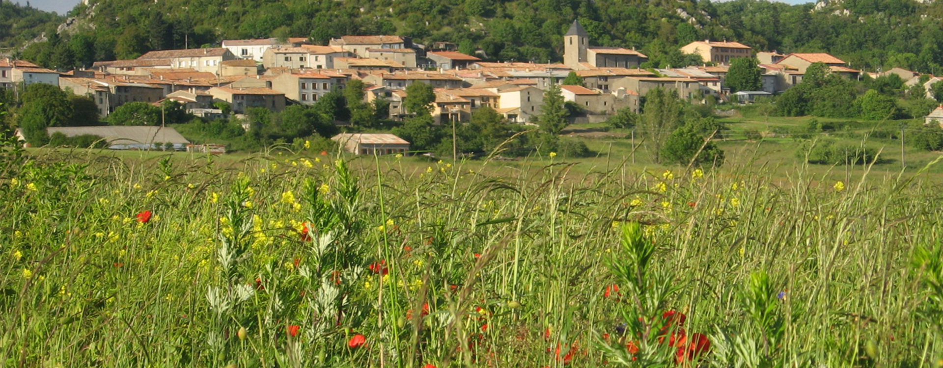 Accueil Commune de Belvis - Aude